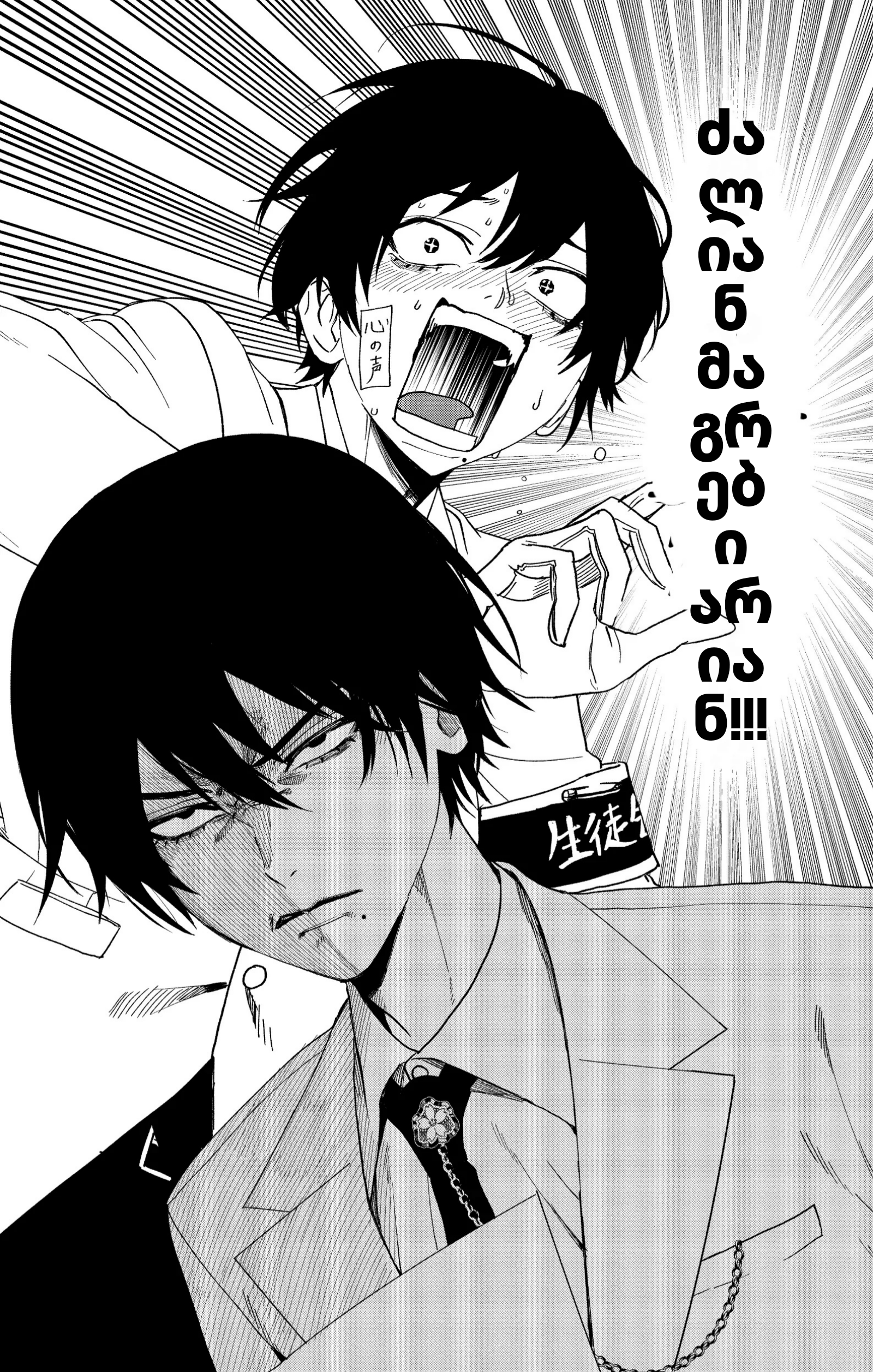 Page (12)